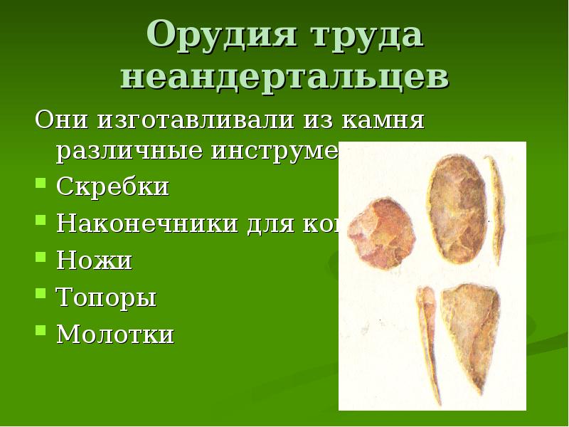 Орудия труда неандертальцев Они изготавливали из камня различные инструменты: Скребки Наконечники