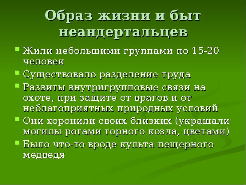 Образ жизни и быт неандертальцев Жили небольшими группами по 15-20 человек