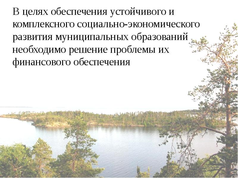 Проблемы обеспечения муниципального образования. Проблемы финансового обеспечения.