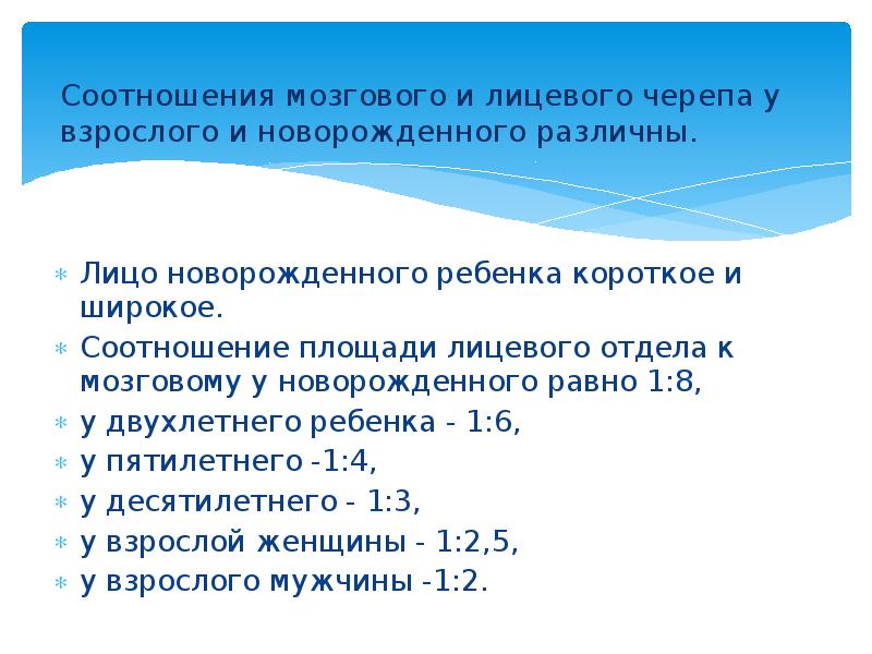 Соотношения мозгового и лицевого черепа у взрослого и новорожденного различны. 