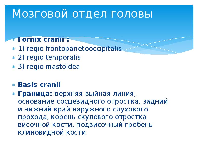 Мозговой отдел головы Fornix cranii :  1) regio frontoparietooccipitalis 2)
