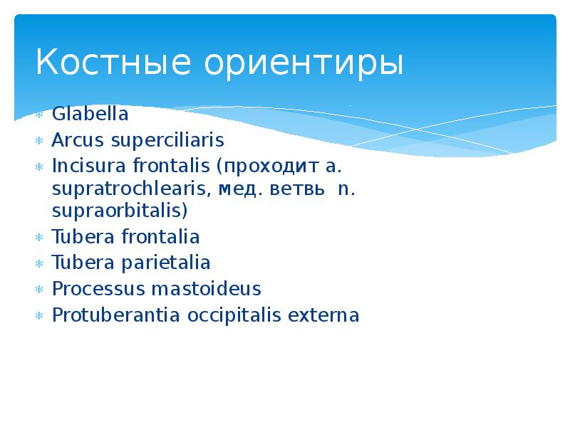 Костные ориентиры Glabella Arcus superciliaris Incisura frontalis (проходит a. supratrochlearis, мед.
