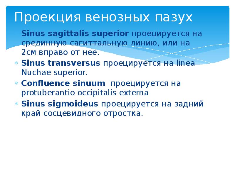 Проекция венозных пазух Sinus sagittalis superior проецируется на срединную сагиттальную линию,