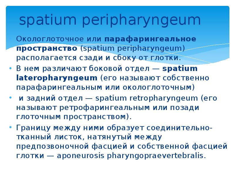 spatium peripharyngeum Окологлоточное или парафарингеальное пространство (spatium peripharyngeum) располагается сзади и