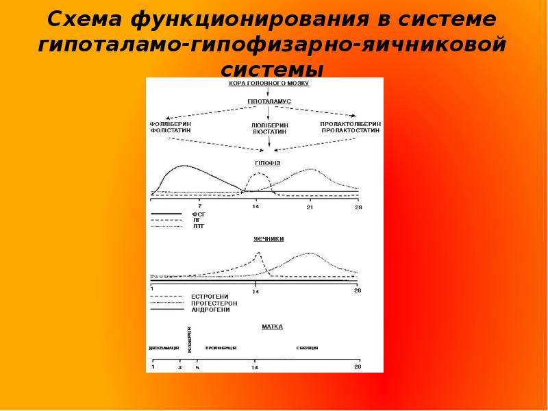 Дисфункциональное маточное кровотечение карта вызова