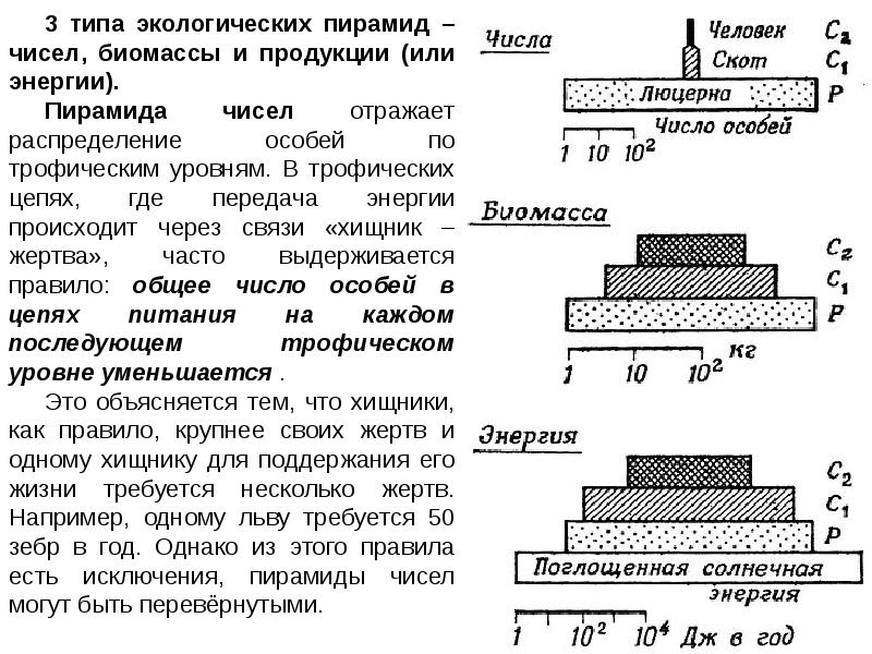 Пирамиды энергии задачи