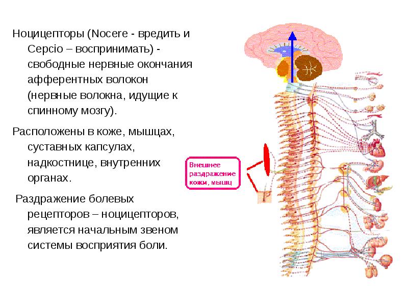 Чувствительность картинки для презентации