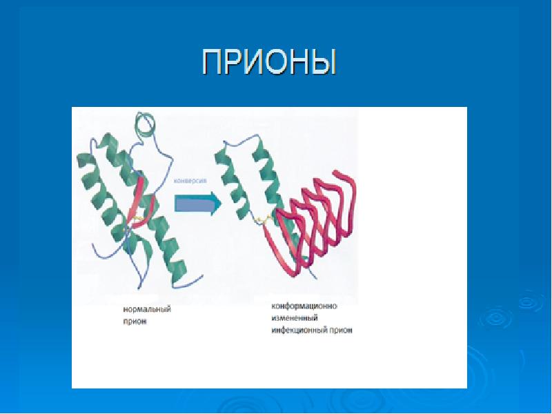 Вирусы по биологии. Вирусология. Тема для презентации микробиология. Вирусология это в биологии. Рид вирусология.