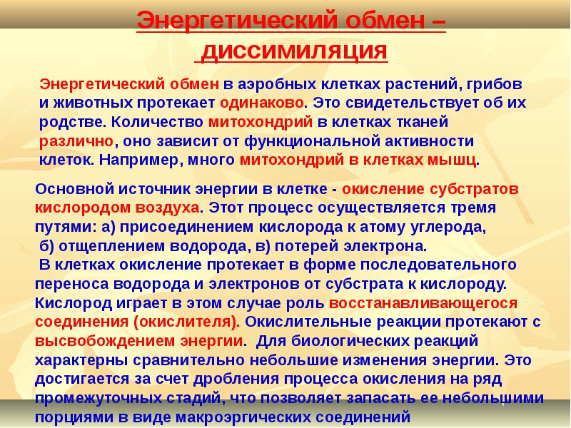 Роль случая. Аэробный этап диссимиляции. Энергетический обмен диссимиляция. Характеристика процессов метаболизма. Основные этапы аэробной диссимиляции.