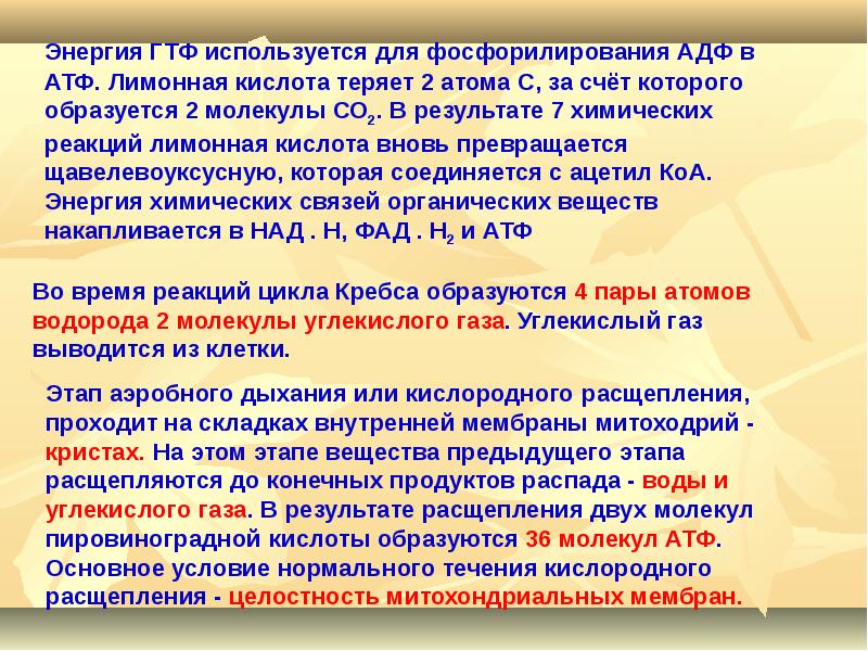 Газ результаты. ГТФ функции. Роль нуклеотидтрифосфатов в энергетике клетки. ГТФ роль. ГТФ энергия молекул.