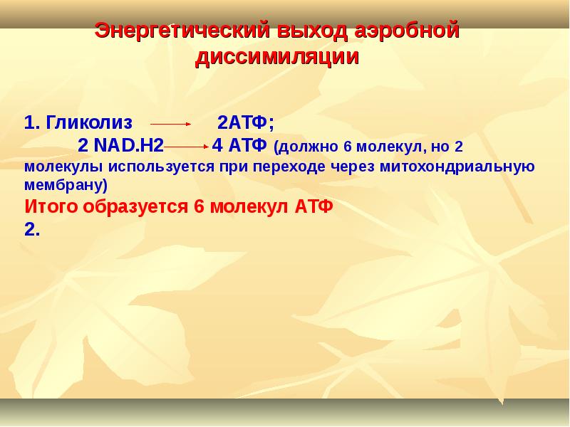 Установите последовательность процессов энергетического обмена. Энергетический выход гликолиза. Энергетический выход гликолиза составляет. Энергетический выход при гликолизе. Гликолиз выход АТФ.