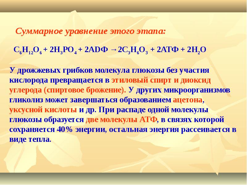 Установите последовательность процессов энергетического обмена