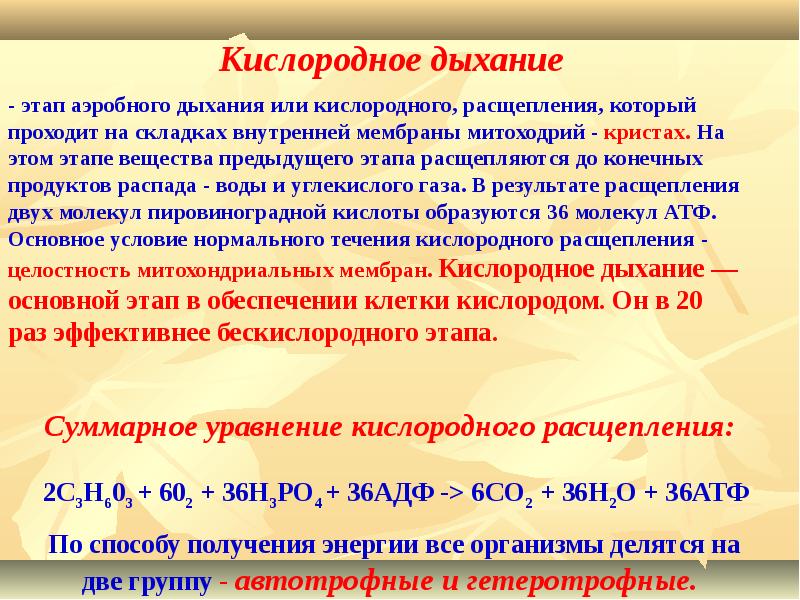 Энергетический выход кислородного этапа. Аэробное дыхание кислородный этап. Стадии кислородного дыхания. Конечный продукт кислородного этапа. Этапы кислородного дыхания таблица.