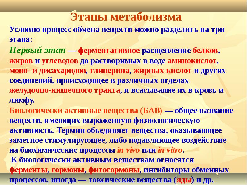 Общая характеристика процессов. Стадии анаболизма. Охарактеризуйте процесс анаболизма. Общая характеристика процессов метаболизма. Особенности процессов анаболизма.