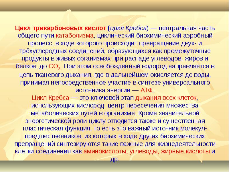 Куда в дальнейшем