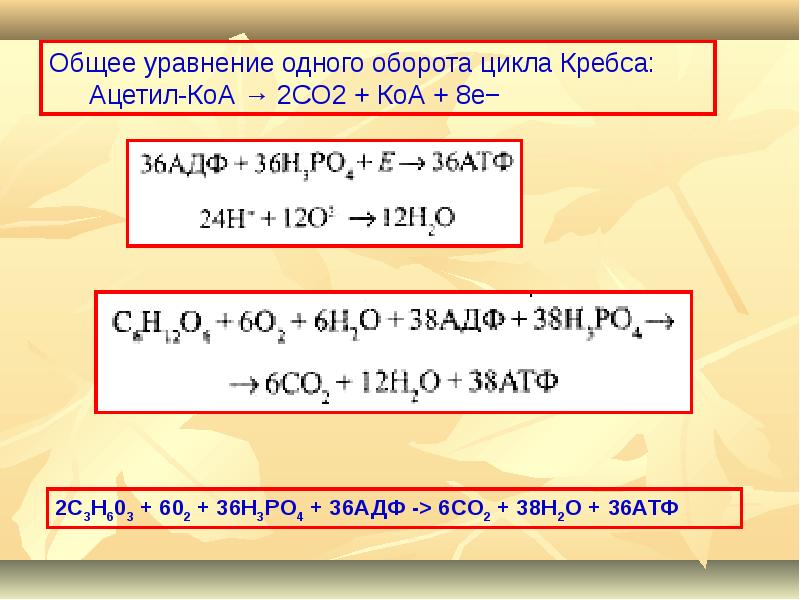 Суммарное уравнение