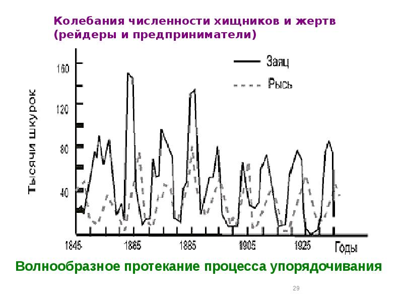 Колебания численности