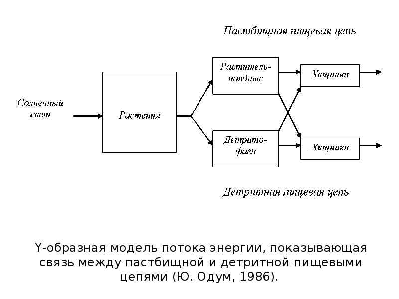 Характеристика цепей питания