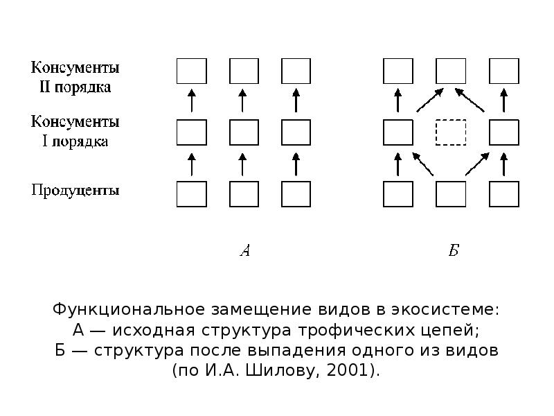 Структура б. Функциональное замещение видов в экосистеме. Функциональное замещение видов в составе биогеоценоза. Структура замещения. Функциональное замещение видов в составе биогеоценоза пояснить.