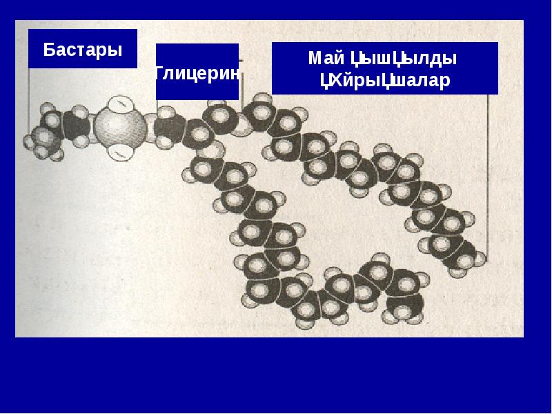 Биологиялық мембраналар презентация