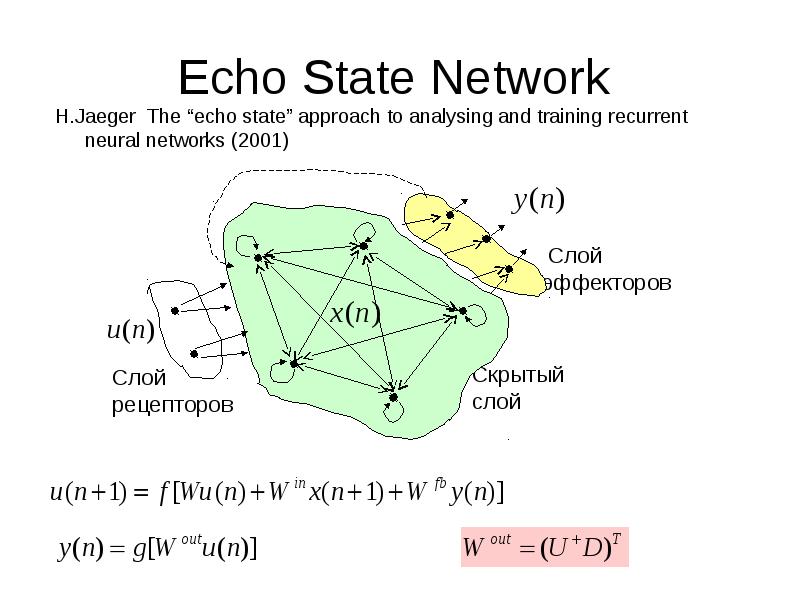 H network. Echo State Network. Динамическая нейронная сеть. Echo State Network презентация. The Network State book Bakaji.