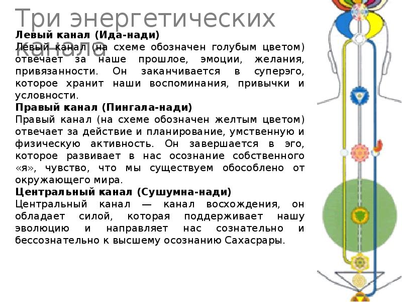 Канал чакры. Энергетическая система человека каналы. Чакры и каналы. Основные энергетические каналы человека. Центральный энергетический канал человека.