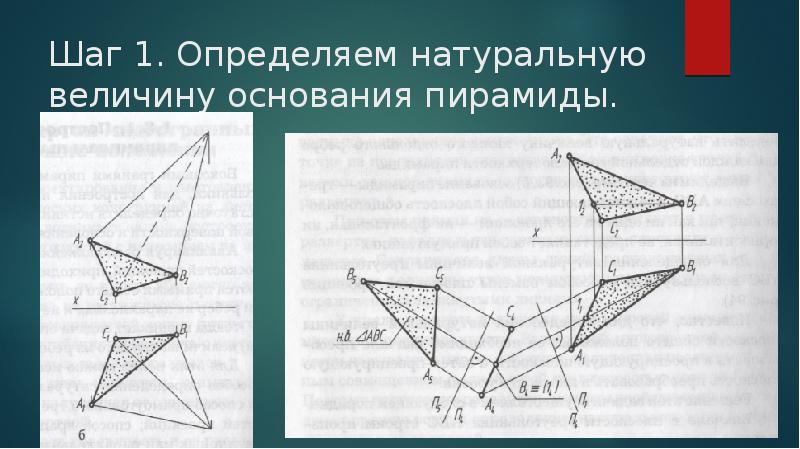 Основание величины