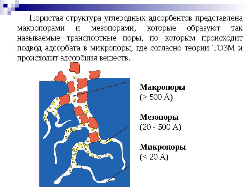 Предопухолевые процессы презентация