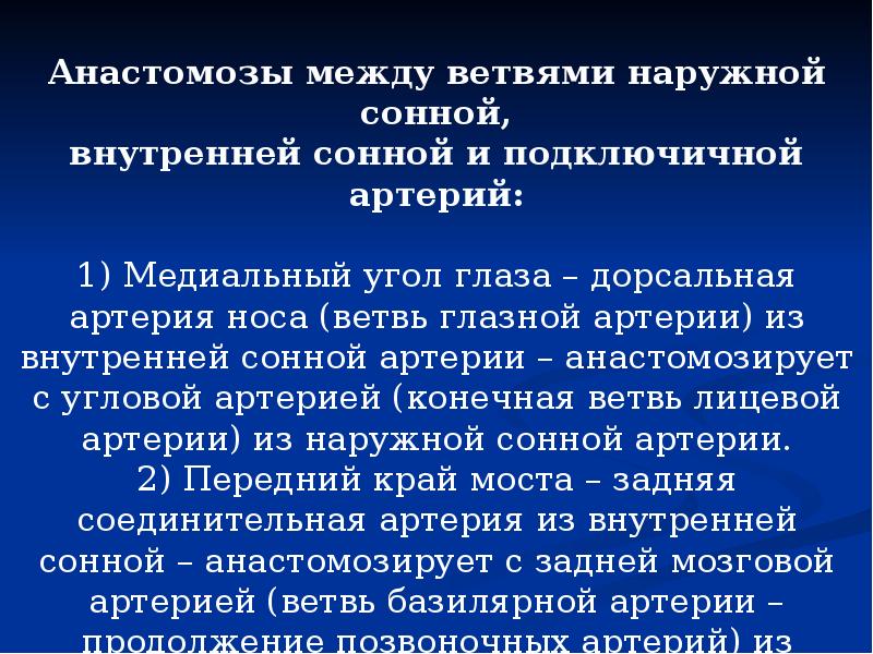 липа мелколистная ветка. меж ветвей. меж ветвей. облетевшее дерево. ветка дерева.