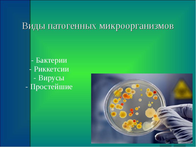 Патогенные микробы. Патогенные микроорганизмы. Болезнетворные бактерии патогенные. Типы патогенных микроорганизмов. Виды болезнетворных микробов.