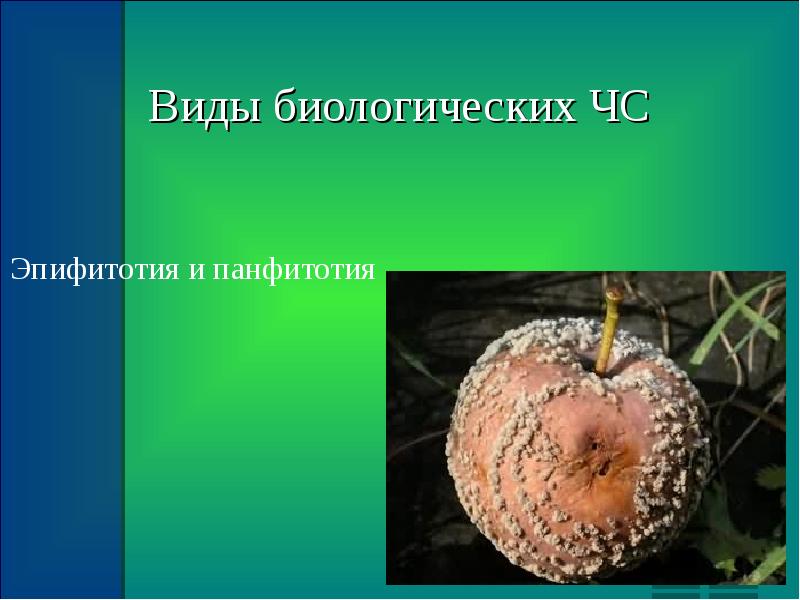 Защита населения и территорий от биологической и экологической опасности 10 класс обж презентация