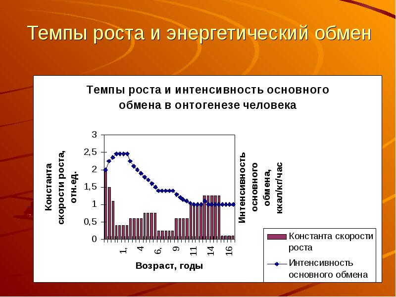 Мышечная масса и сила мышц в различные возрастные периоды презентация