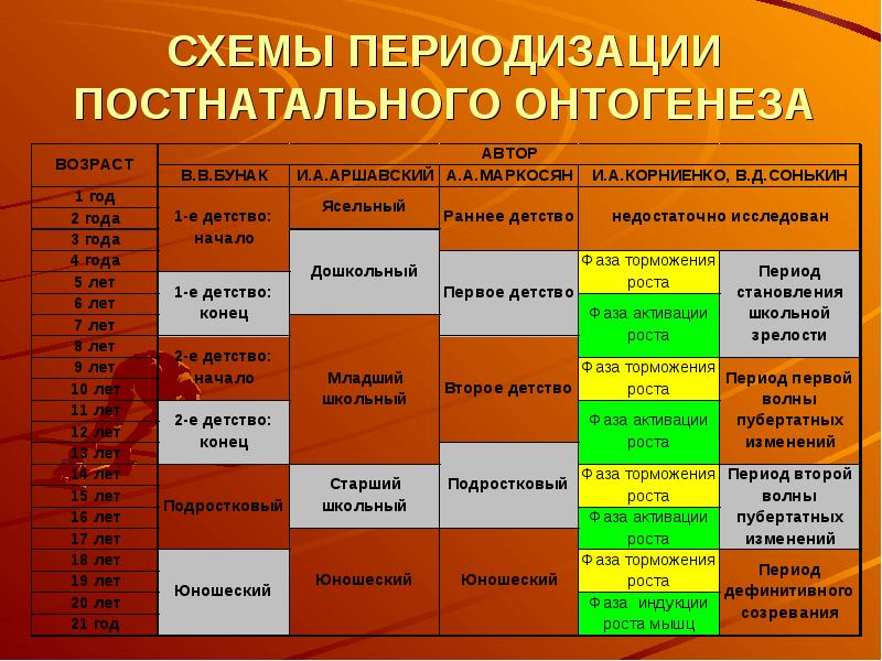 Презентация возрастные периоды