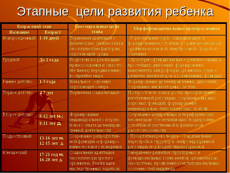 Мышечная масса и сила мышц в различные возрастные периоды презентация