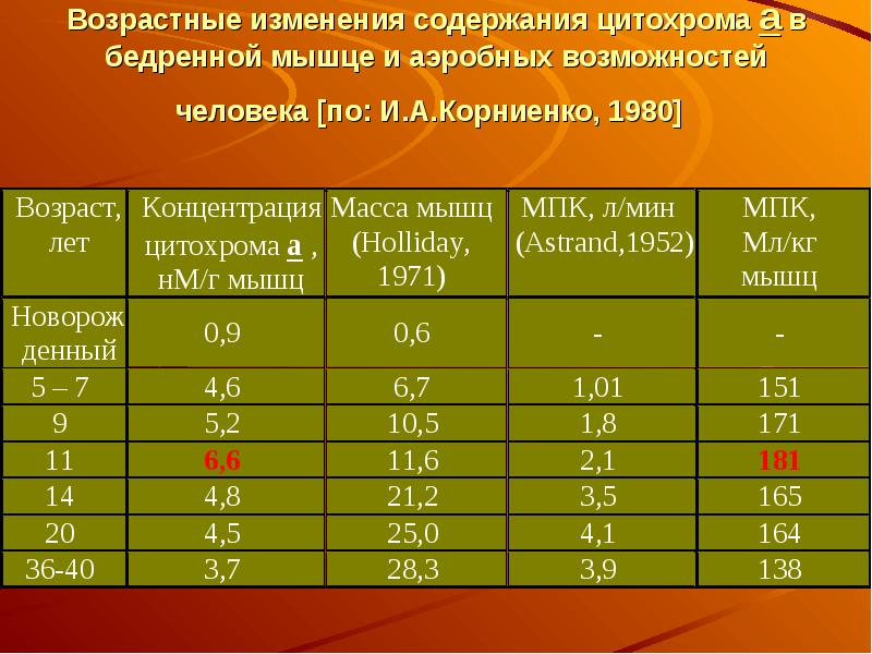 Мышечная масса и сила мышц в различные возрастные периоды презентация