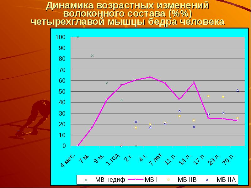 Мышечная масса и сила мышц в различные возрастные периоды презентация