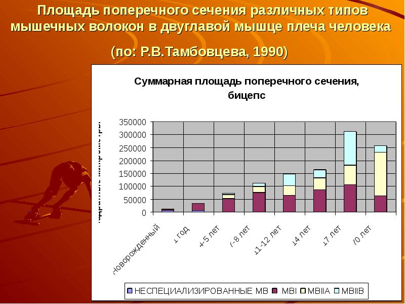 Мышечная масса и сила мышц в различные возрастные периоды презентация