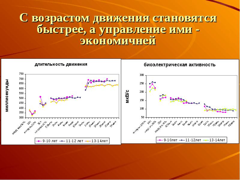 Мышечная масса и сила мышц в различные возрастные периоды презентация