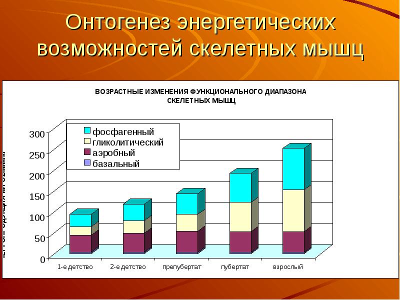 Мышечная масса и сила мышц в различные возрастные периоды презентация