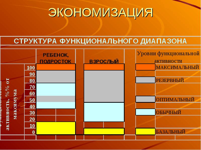 Мышечная масса и сила мышц в различные возрастные периоды презентация