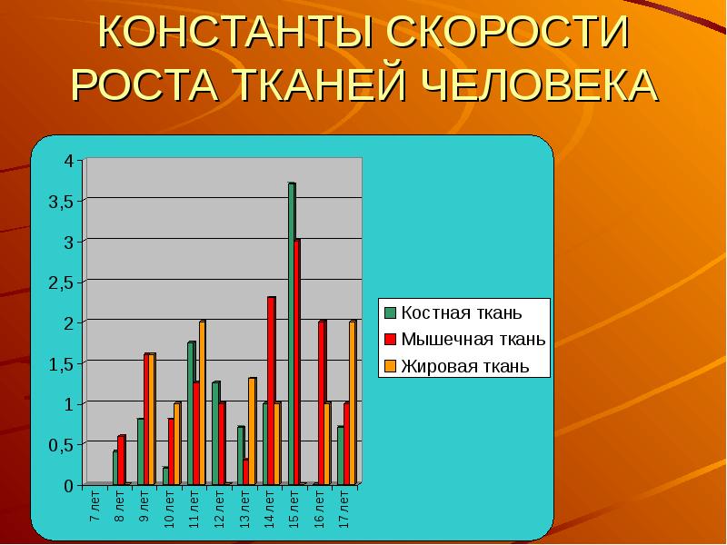 Мышечная масса и сила мышц в различные возрастные периоды презентация