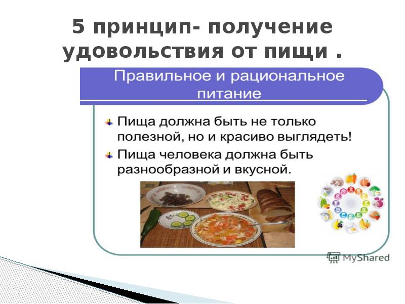 Режим питания презентация по анатомии