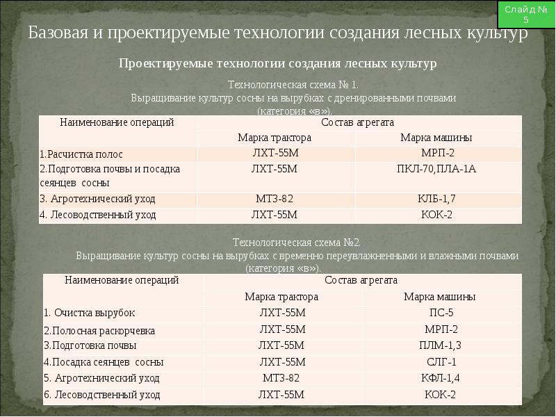 Технологическая карта в лесном хозяйстве это