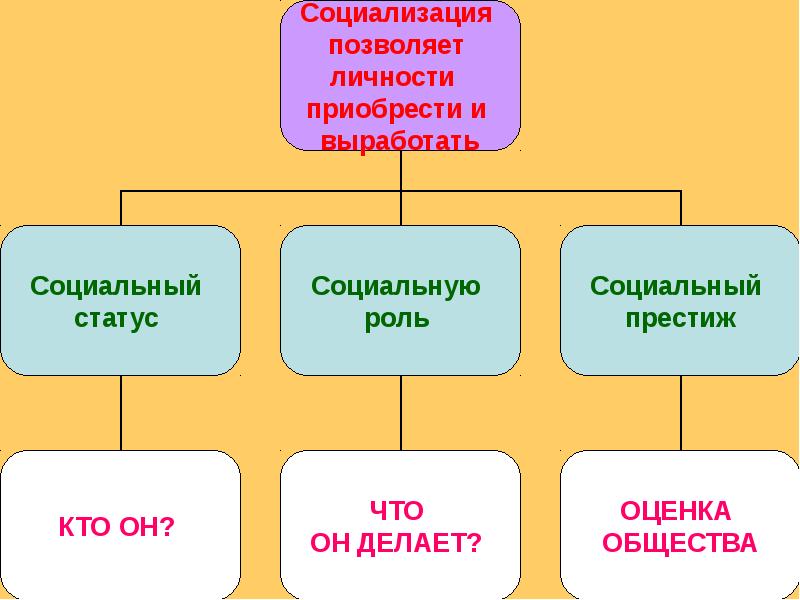 Объясните связь социального статуса социализации. Социальный статус и социализация. Социальный статус и социализаци. Социализация личности, социальная роль, социальный статус.. Социальные статусы и роли.