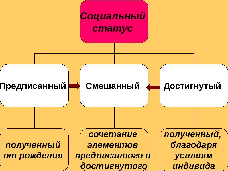 План по теме социальные статусы и социальные роли