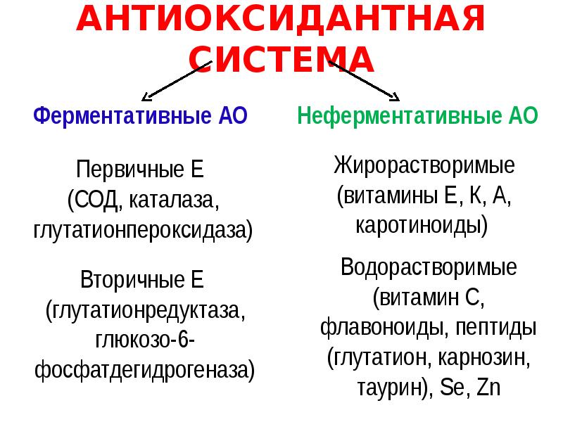 Антиоксидантные ферменты. Неферментная антиоксидантная система. Система антиоксидантной защиты организма. Антиоксидантные системы клеток. Антиоксидантная система организма биохимия.