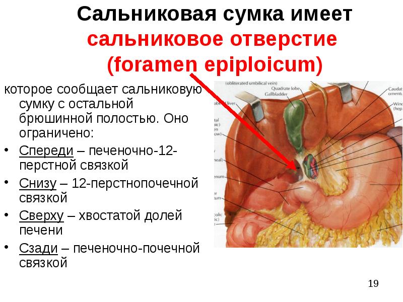  Foto 42