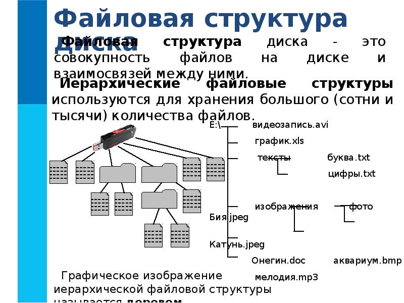 О файлах и файловых структурах 7 класс презентация семакин