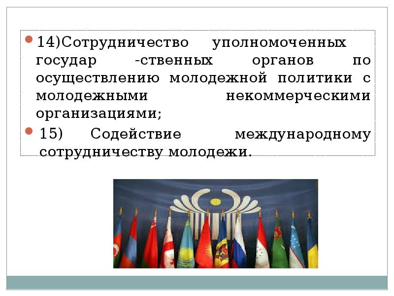 Структура психолого педагогической службы в школе. Отношение молодежи к обществу. Международное сотрудничество в сфере молодежной политики. Взаимодействие с общественными организациями. Взаимодействие молодежных организаций.