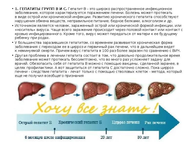 Хронический гепатит цирроз печени презентация